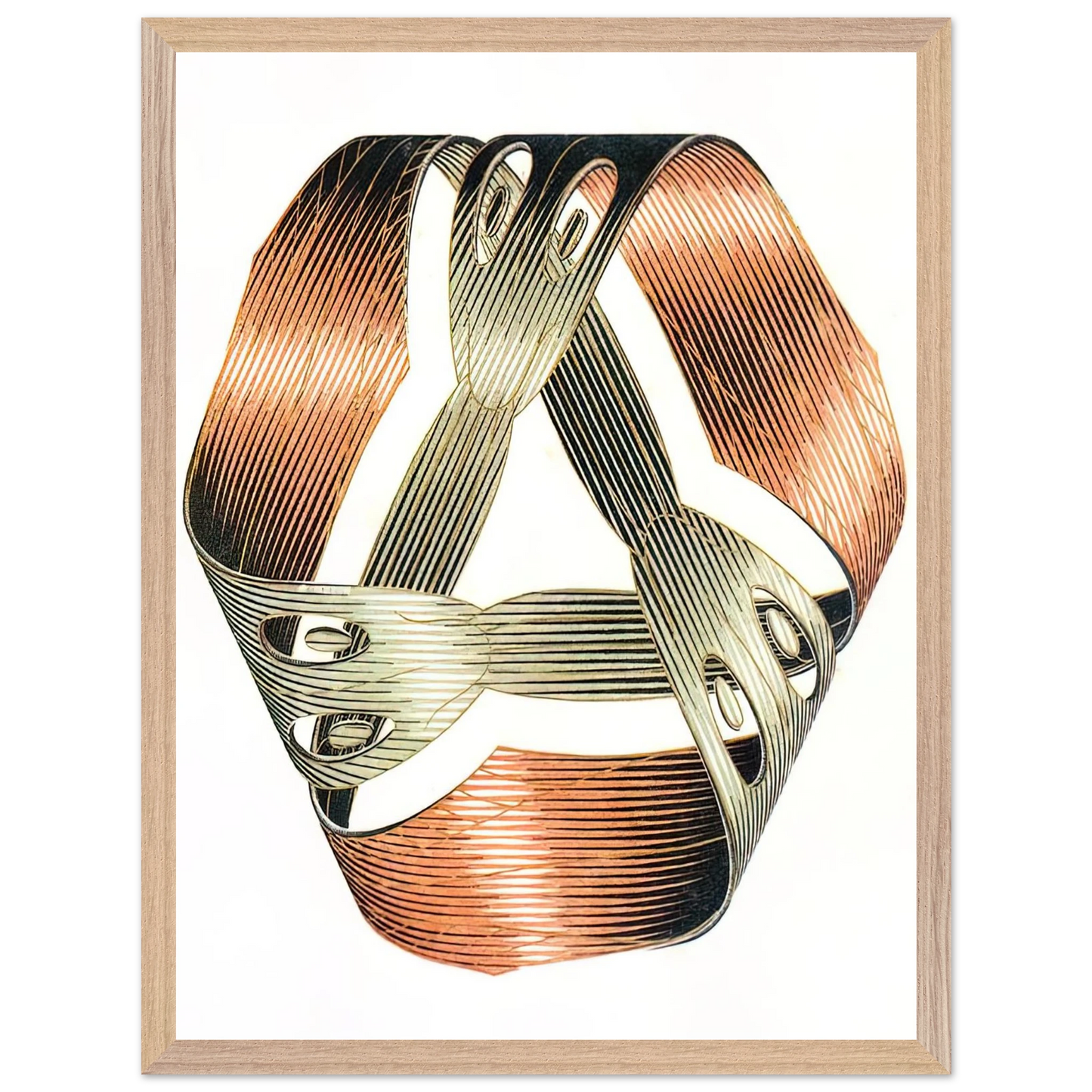 MC Escher - MOEBIUS STRIP I Wall Art - 30x40 cm / 12x16 inches - Premium Wooden Framed Poster With Fine Art Paper - Black frame