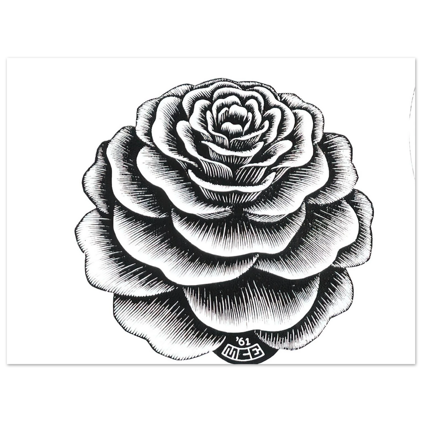 MC Escher - FLOWER 1 Wall Art - 21x29.7 cm / 8x12" - Fine Art Poster-canvas - -