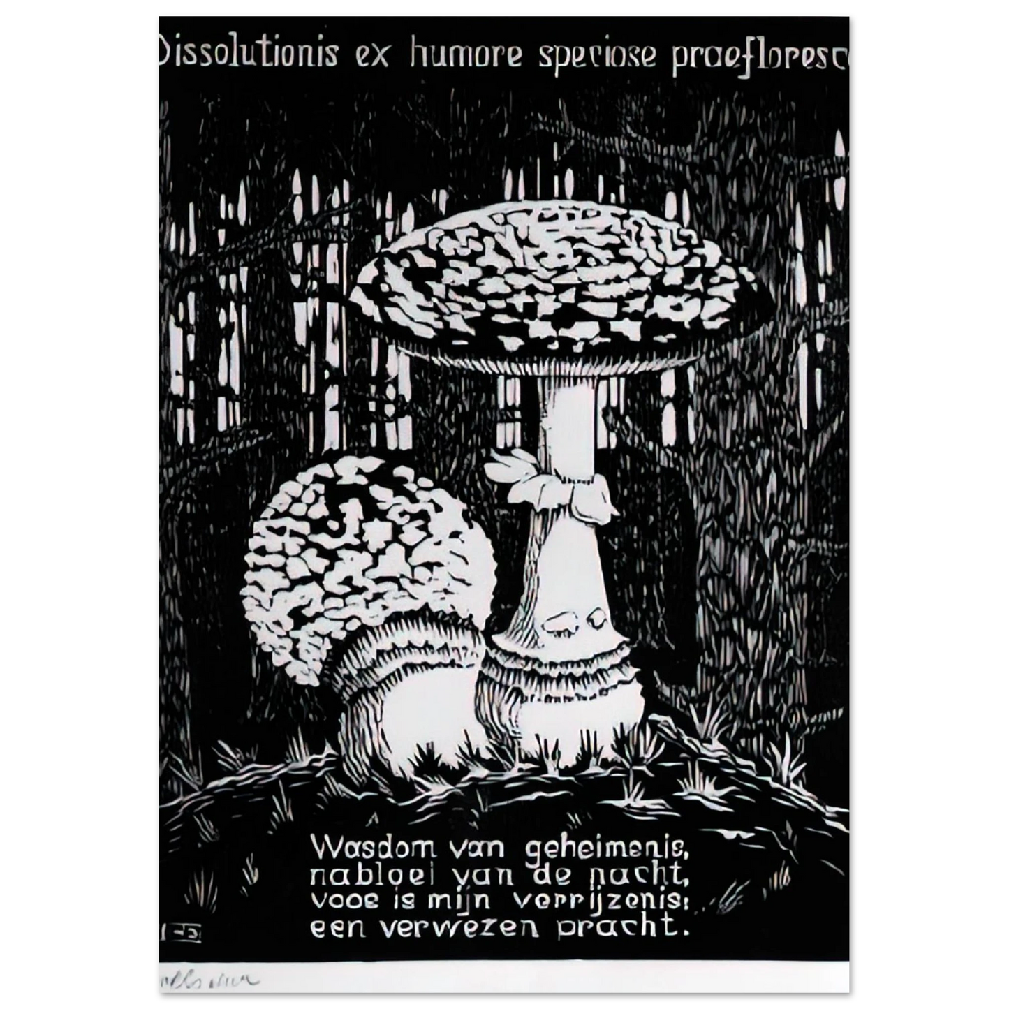MC Escher - EMBLEMATA TOADSTOOL Wall Art - 30x40 cm / 12x16 inches - Fine Art Poster-canvas - -