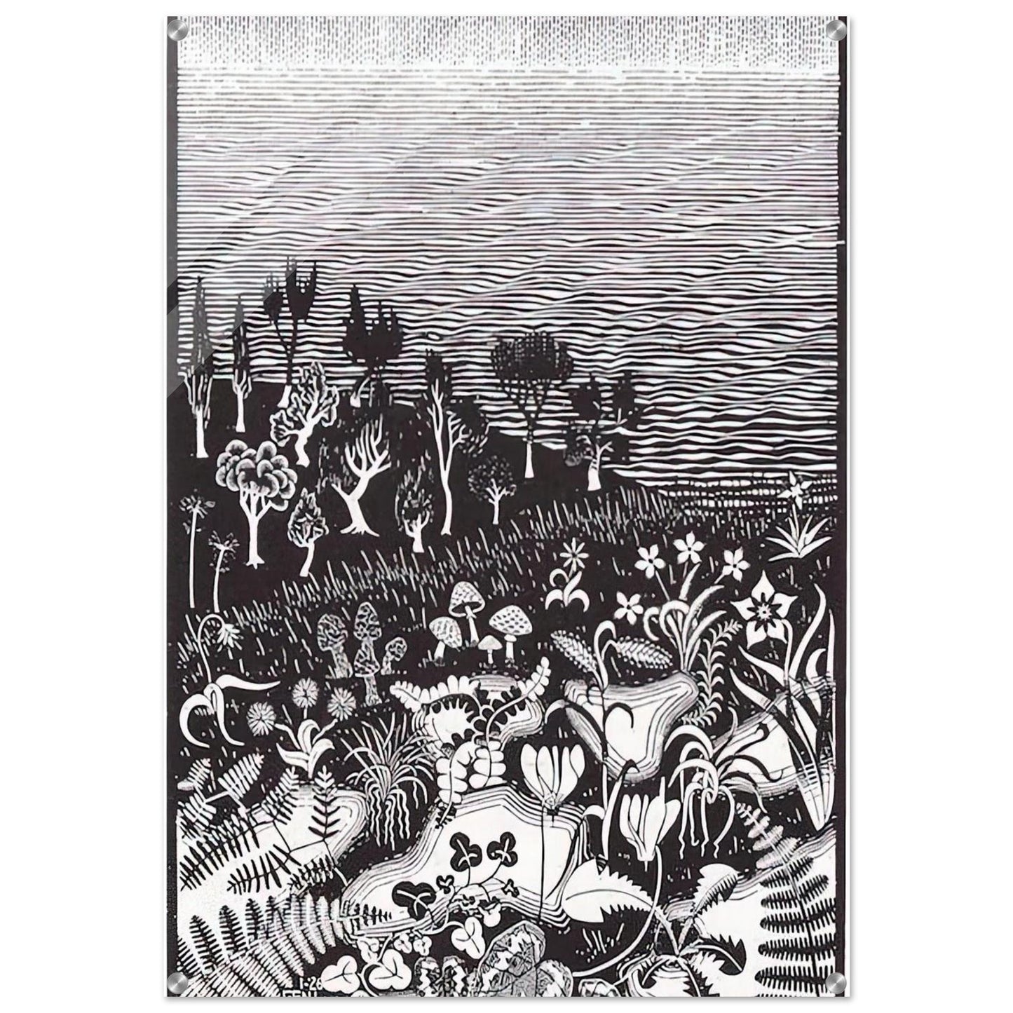 THE 3RD DAY OF THE CREATION - MC Escher Acrylic Print - 70x100 cm / 28x40″ inches | Maurits Cornelis Escher Prints