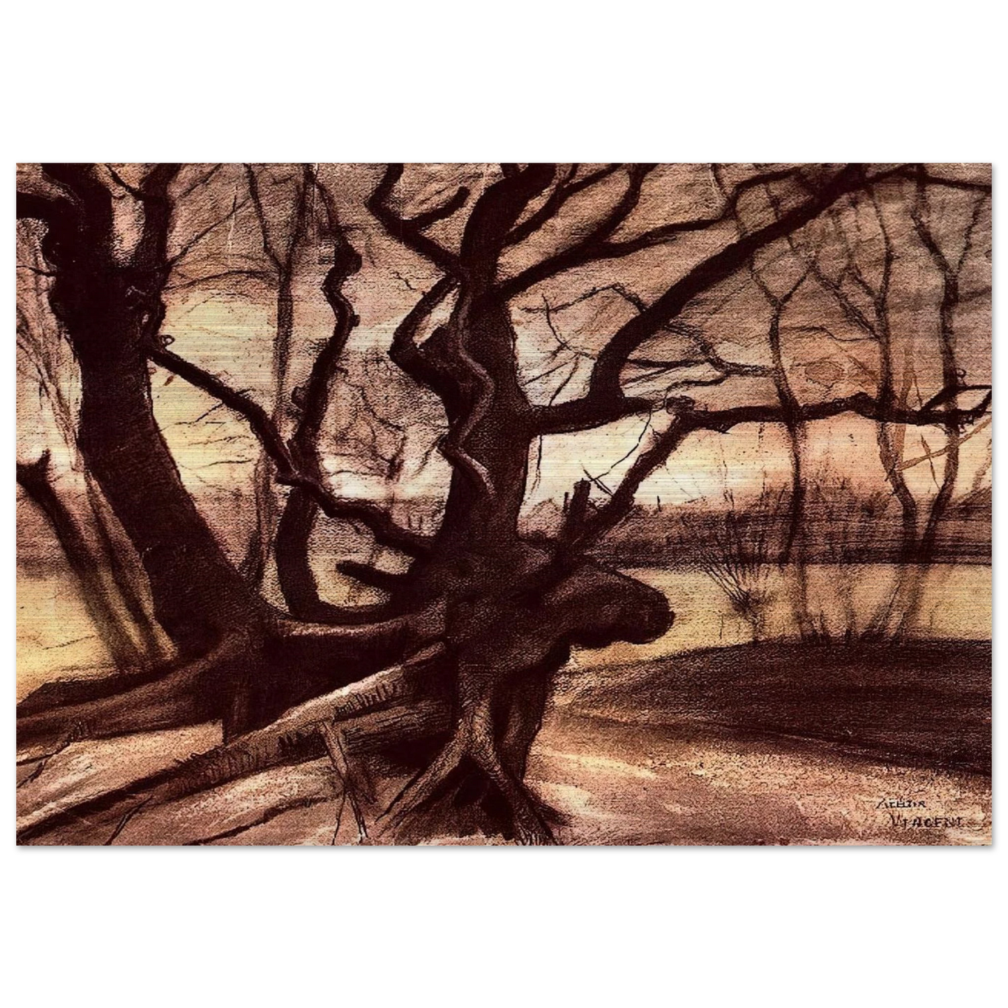 Study of a Tree - Vincent van Gogh Brushed Aluminum Print - 70x100 cm / 28x40 inches | Vincent van Gogh Aluminum Print | Vincent van Gogh Prints