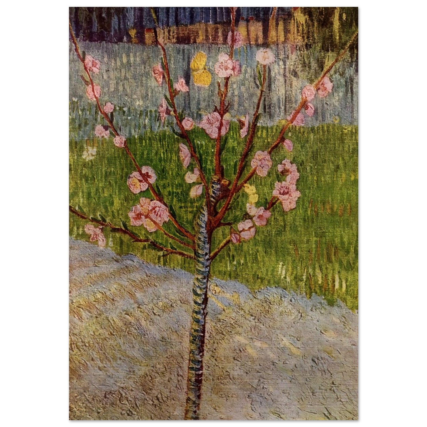 Almond Tree in Blossom - Vincent van Gogh Brushed Aluminum Print - 70x100 cm / 28x40 inches | Vincent van Gogh Aluminum Print | Vincent van Gogh Prints