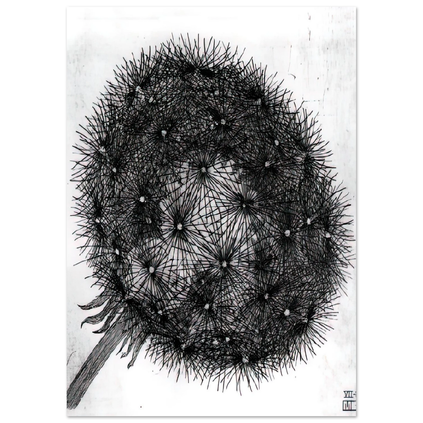 MC Escher - BLOWBALL I Wall Art - 30x40 cm / 12x16 inches - Premium Wooden Framed Poster With Fine Art Paper-canvas - Wood frame