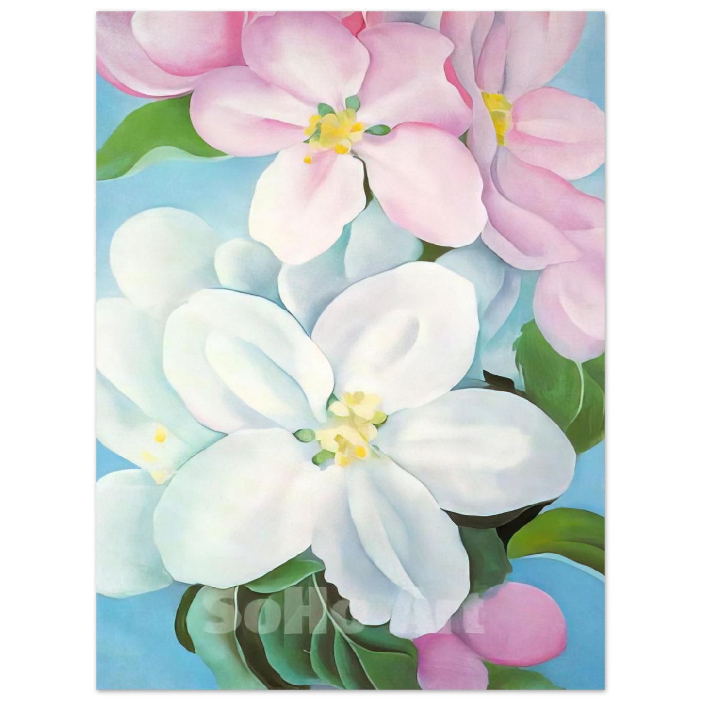 Georgia O'Keeffe - Apple Blossoms Fine Art Poster