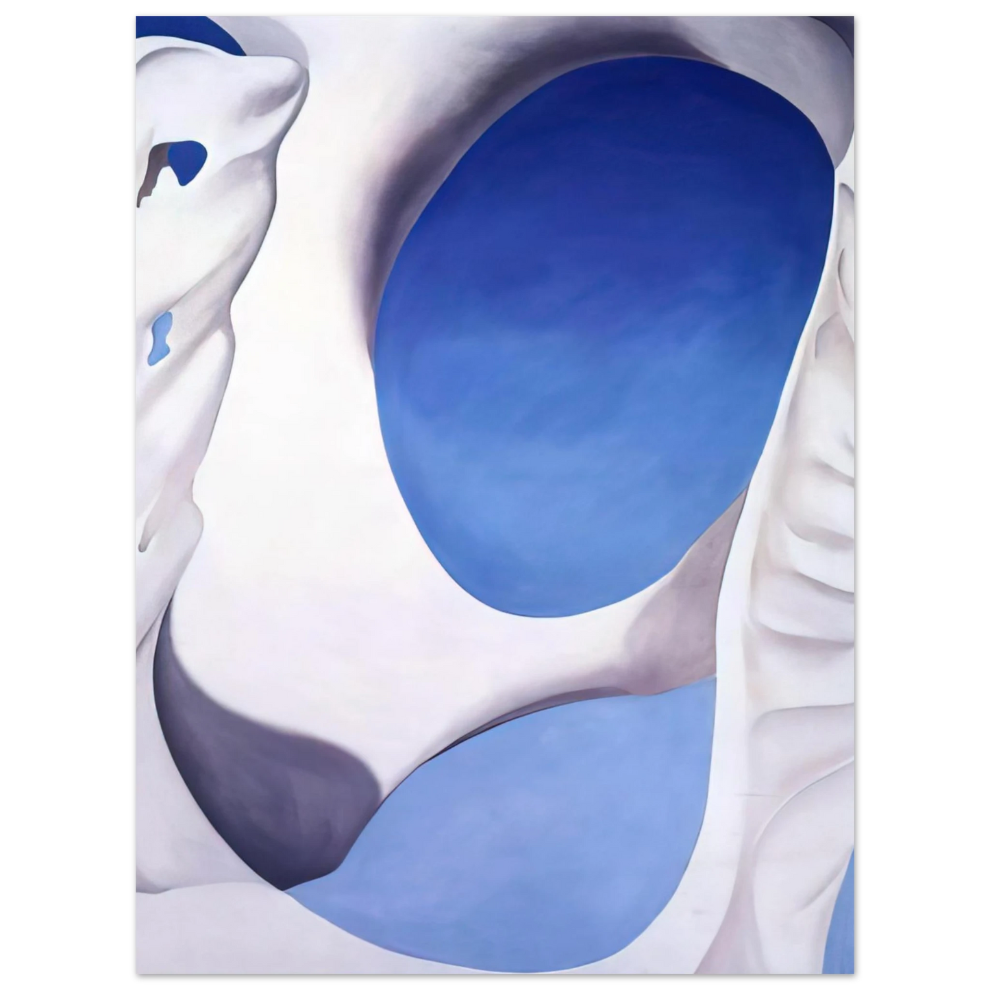 Georgia O'Keeffe - Pelvis II Fine Art Poster