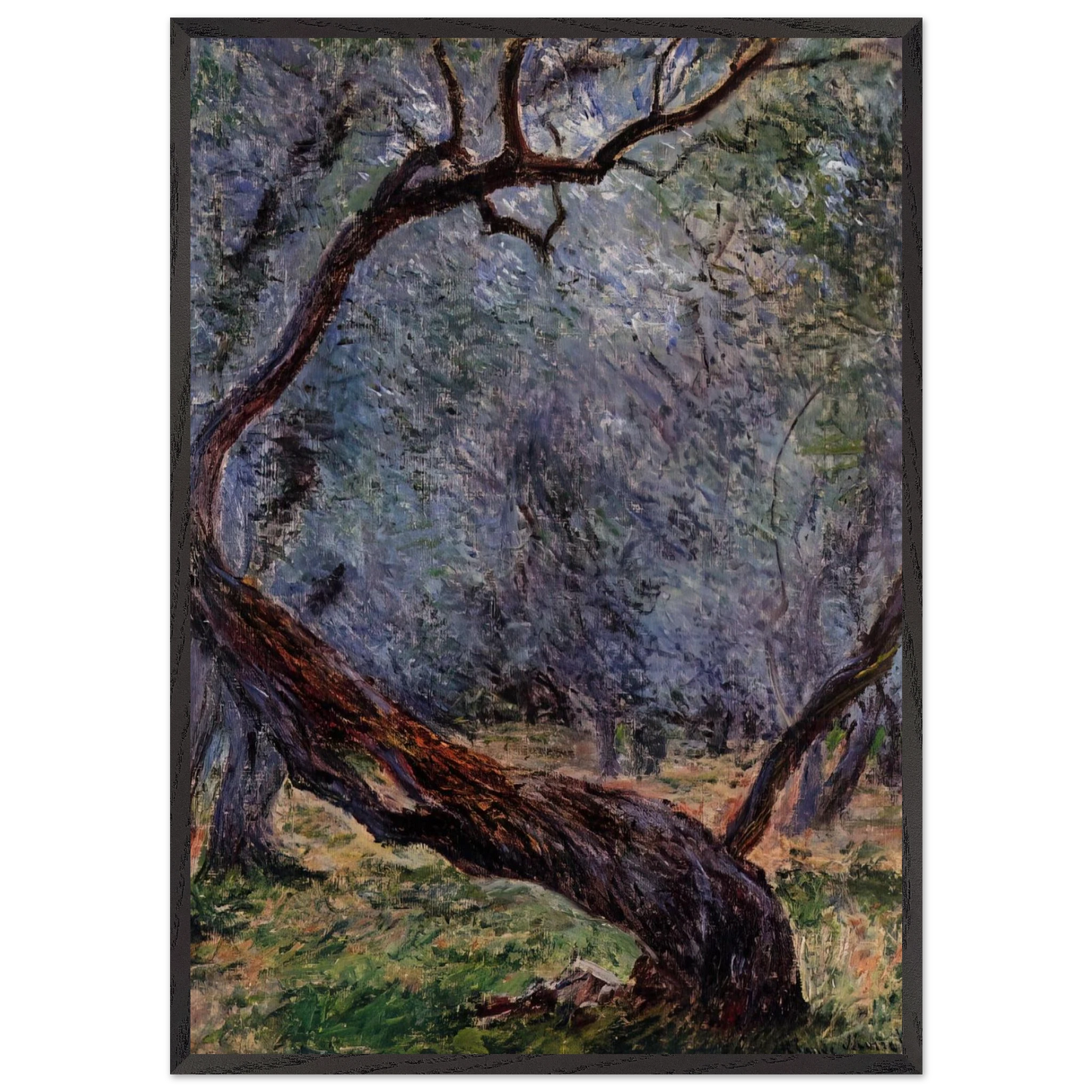 Olive Trees Study - claude monet 70x100 cm / 28x40 inches Framed Art Print – Black Wooden Frame