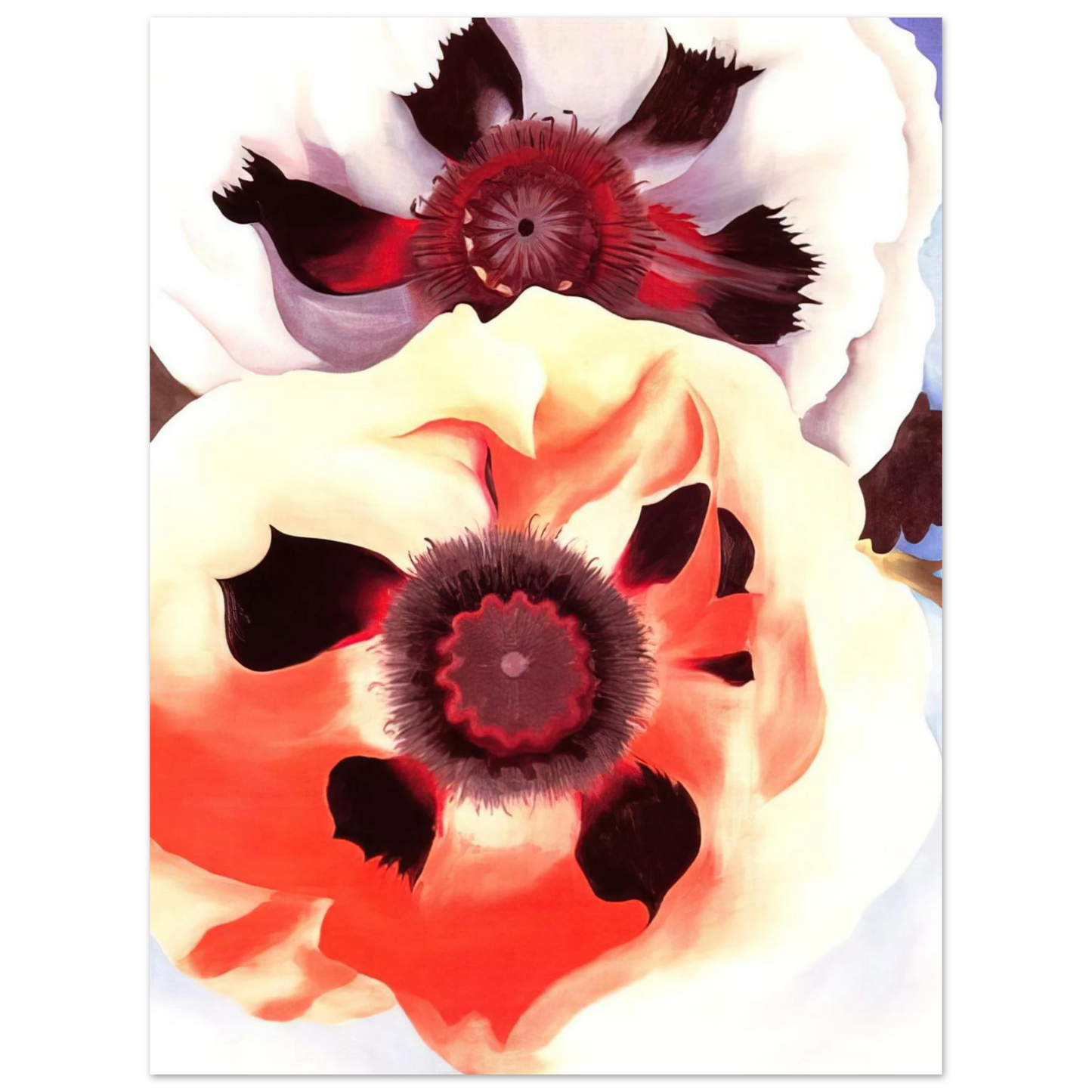 Georgia O'Keeffe - Poppies Fine Art Poster