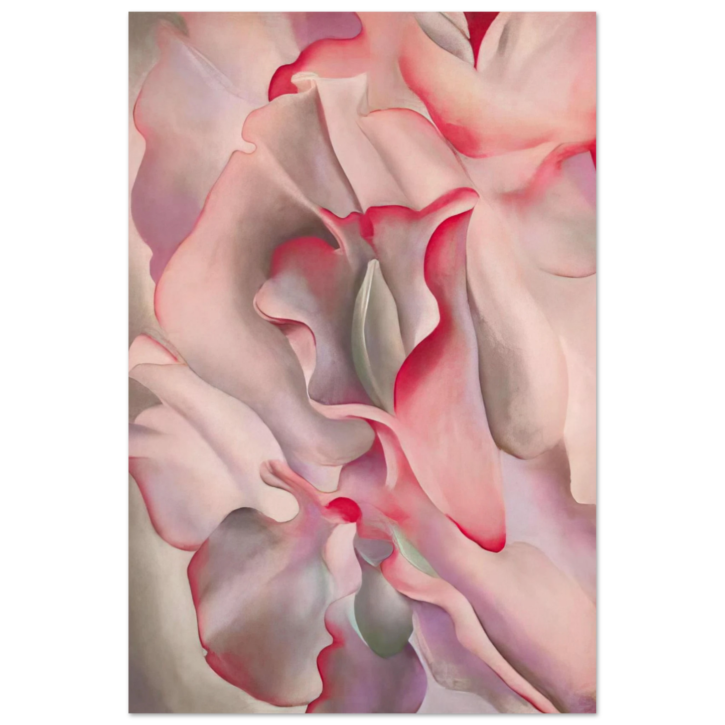 Georgia O'Keeffe - Pink Sweet Peas 2 Fine Art Poster