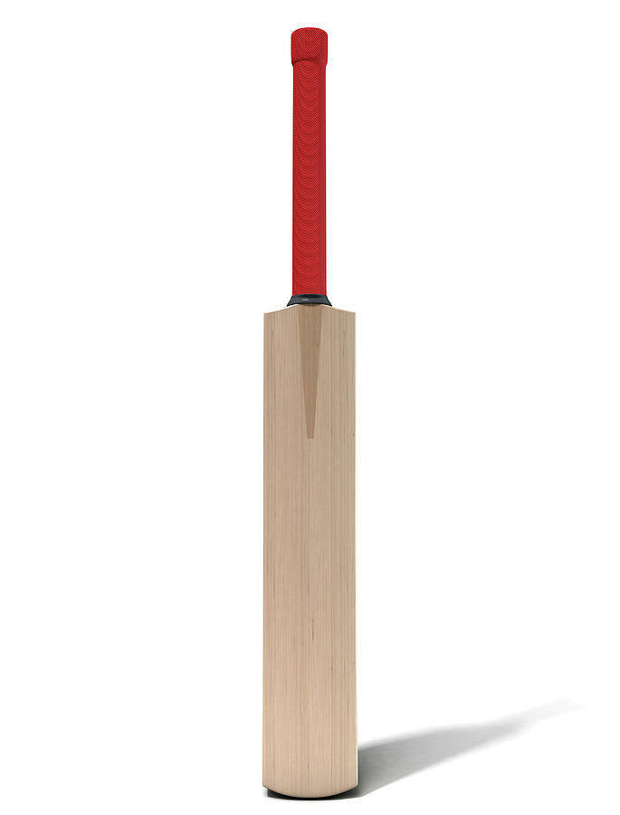 Cricket Paddle Art Print | Vintage Sports Illustration | RedKalion