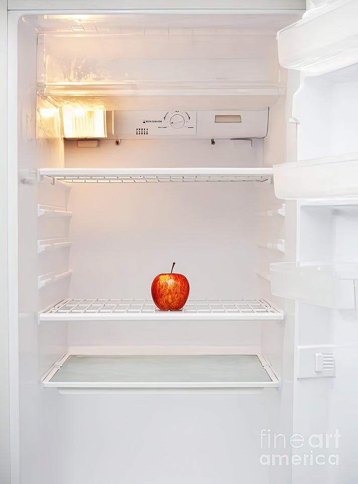 Empty Fridge Picture Art Print | Museum-Quality Reproduction | RedKalion