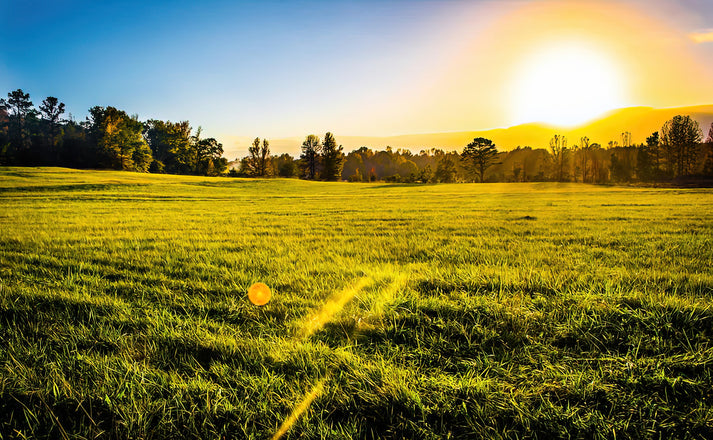 Farm Sunset Art Print | Premium Fine Art Reproduction | RedKalion