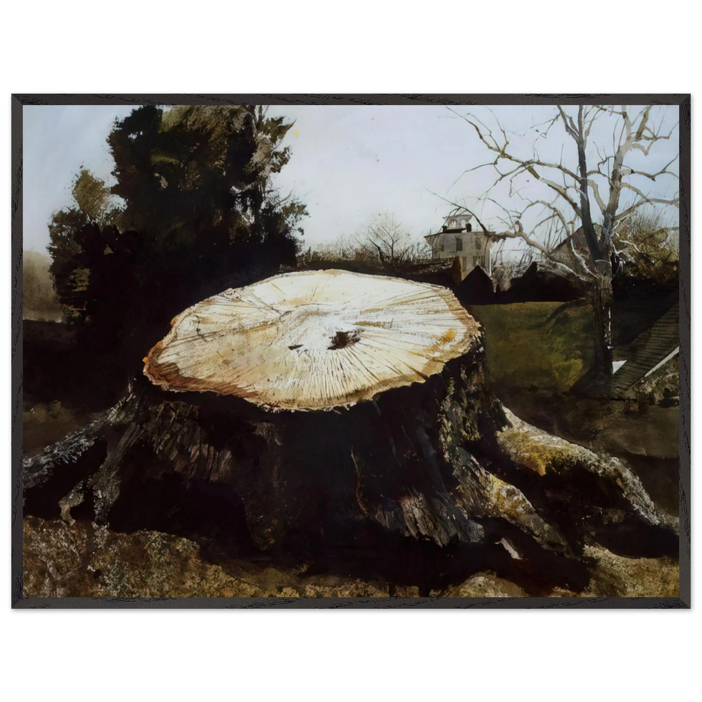 Andrew Wyeth - THE BIG OAK Wall Art - 60x80 cm / 24x32 inches - Fine Art Poster-canvas - -