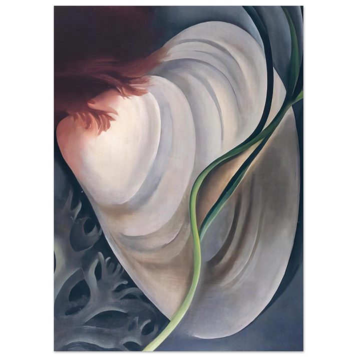 Georgia O'Keeffe - Shell No 2 Fine Art Poster