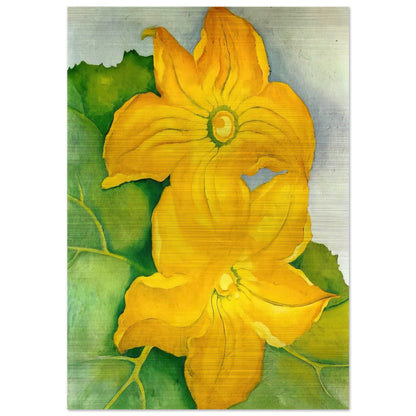 Squash Blossoms I - Georgia O'Keeffe Brushed Aluminum Print - 70x100 cm / 28x40 inches | Georgia O'Keeffe Aluminum Print | Georgia O'Keeffe Prints