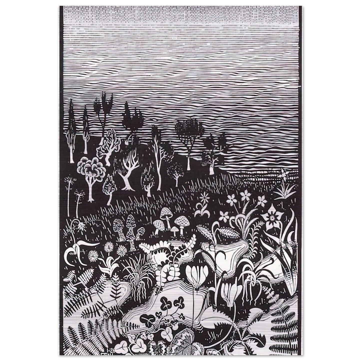 THE 3RD DAY OF THE CREATION - MC Escher Brushed Aluminum Print - 70x100 cm / 28x40 inches | MC Escher Aluminum Print | MC Escher Prints