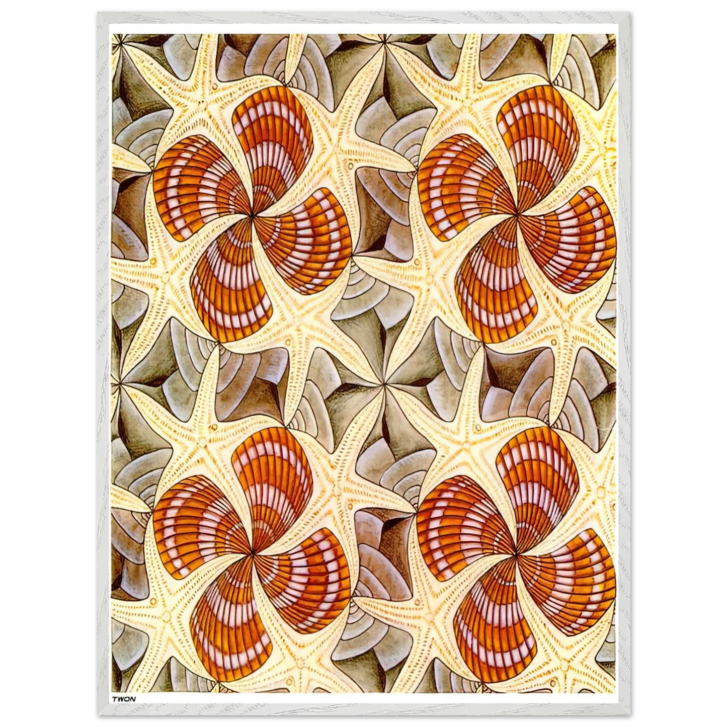 MC Escher - SHELLS AND STARFISH Wall Art - 60x80 cm / 24x32 inches - Premium Wooden Framed Poster With Fine Art Paper - White frame