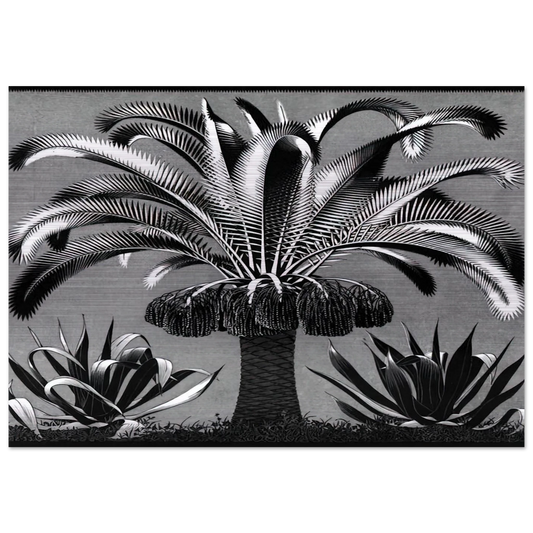 PALM - MC Escher Brushed Aluminum Print - 70x100 cm / 28x40 inches | MC Escher Aluminum Print | MC Escher Prints