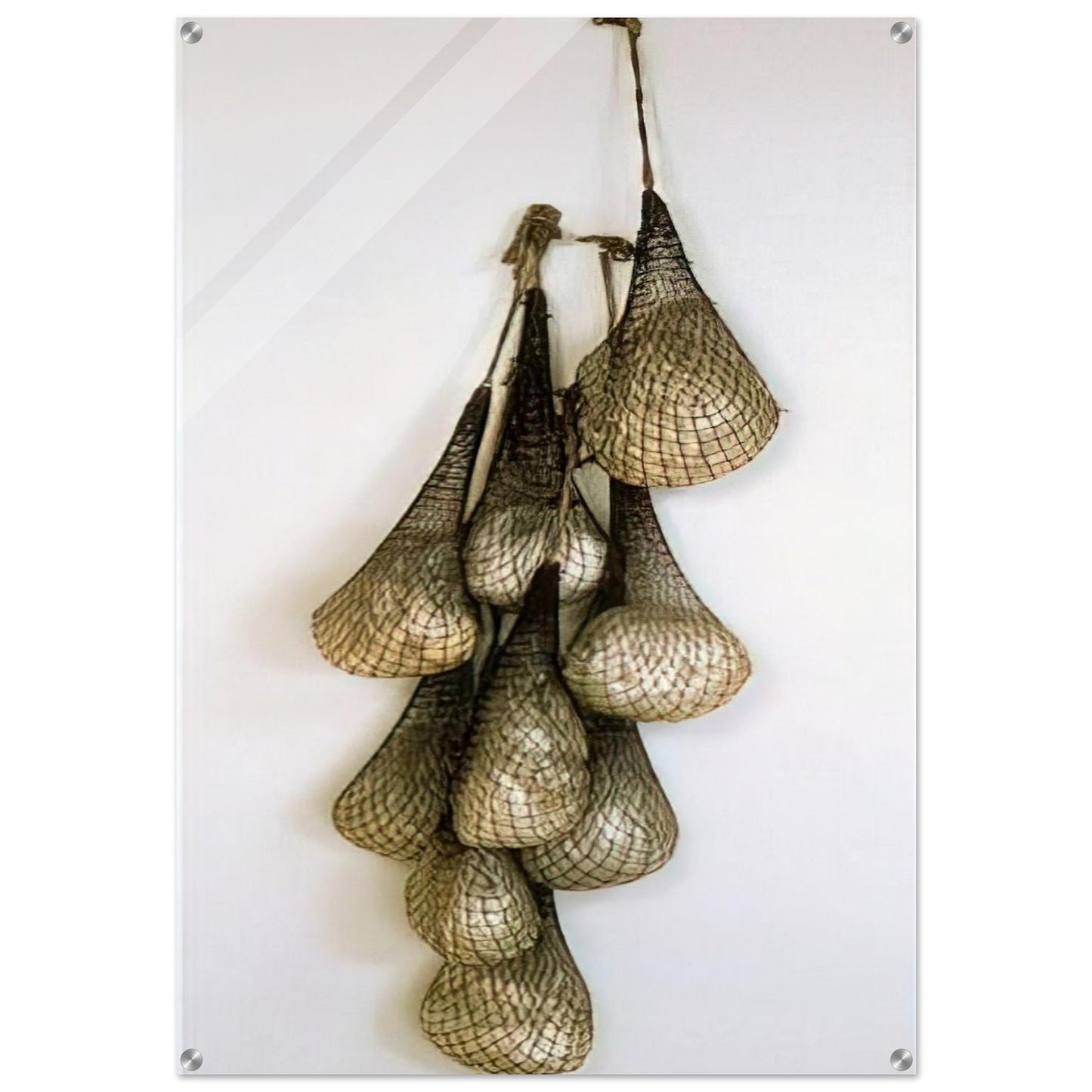UNTITLED OR NOT YET 1966 - Eva Hesse Acrylic Print - 70x100 cm / 28x40″ inches