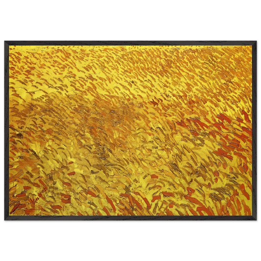 Summer Evening Wheatfield with Setting sun - Vincent van Gogh 70x100 cm / 28x40 inches Framed Art Print – Black Wooden Frame