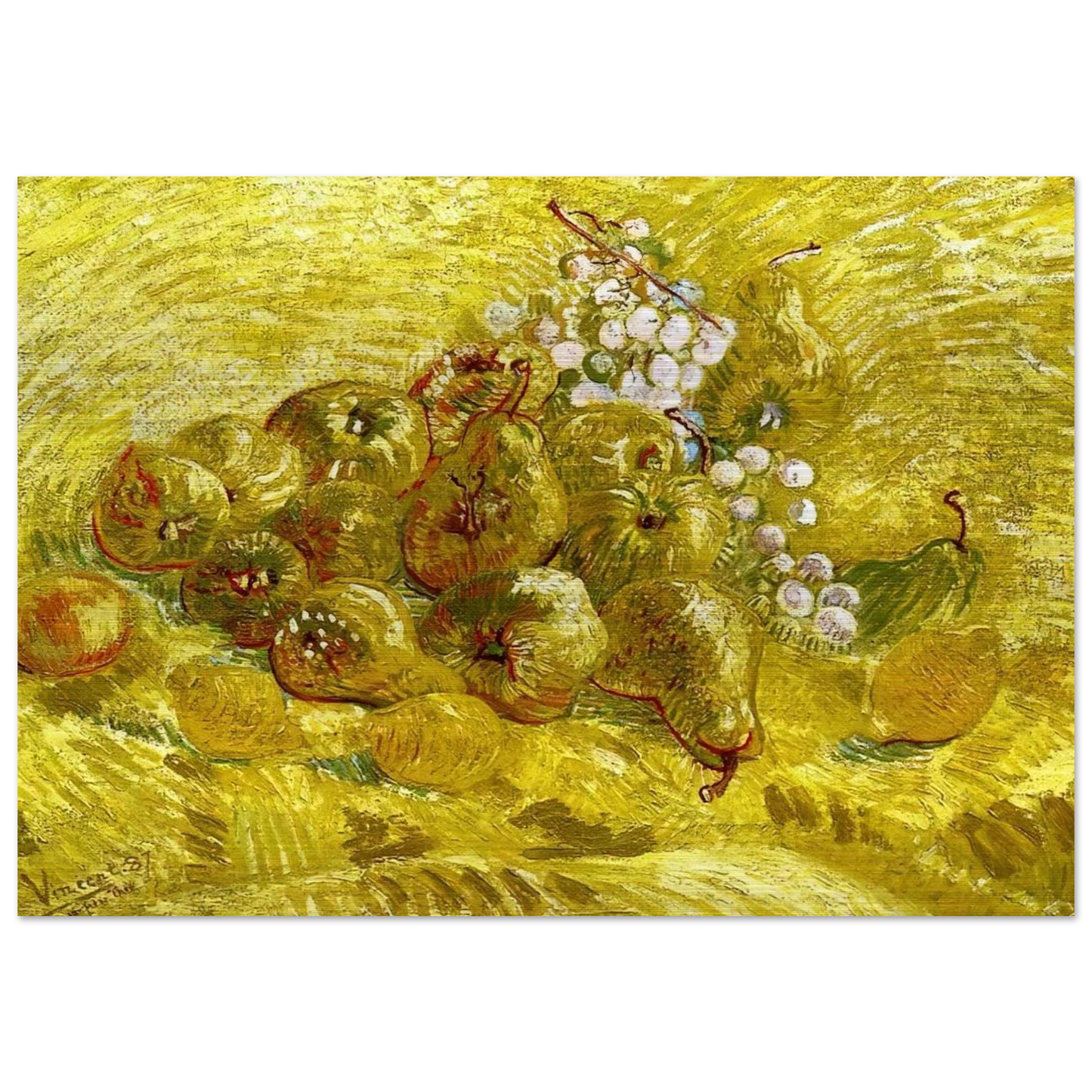 Still life with grapes,pears and lemons - Vincent van Gogh Brushed Aluminum Print - 70x100 cm / 28x40 inches | Vincent van Gogh Aluminum Print | Vincent van Gogh Prints