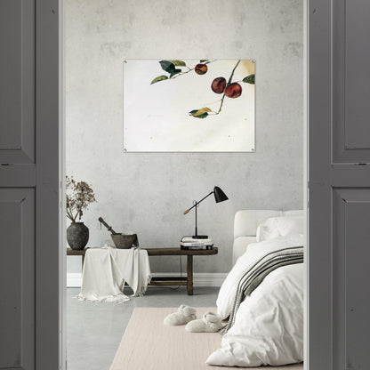 APPLES ON A BOUGH STUDY BEFORE PICKING - Andrew Wyeth Acrylic Print - 70x100 cm / 28x40″ inches