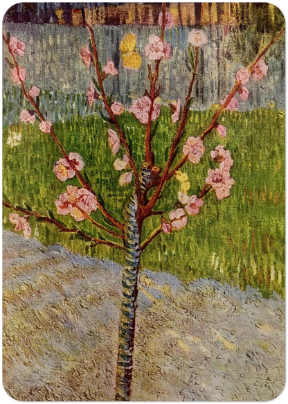 Almond Tree in Blossom By Vincent van Gogh Pack of 10 Post Cards | Vincent van Gogh Post Cards | A6 (10.5 x 14.8 cm) - 4.1 x 5.8 inches