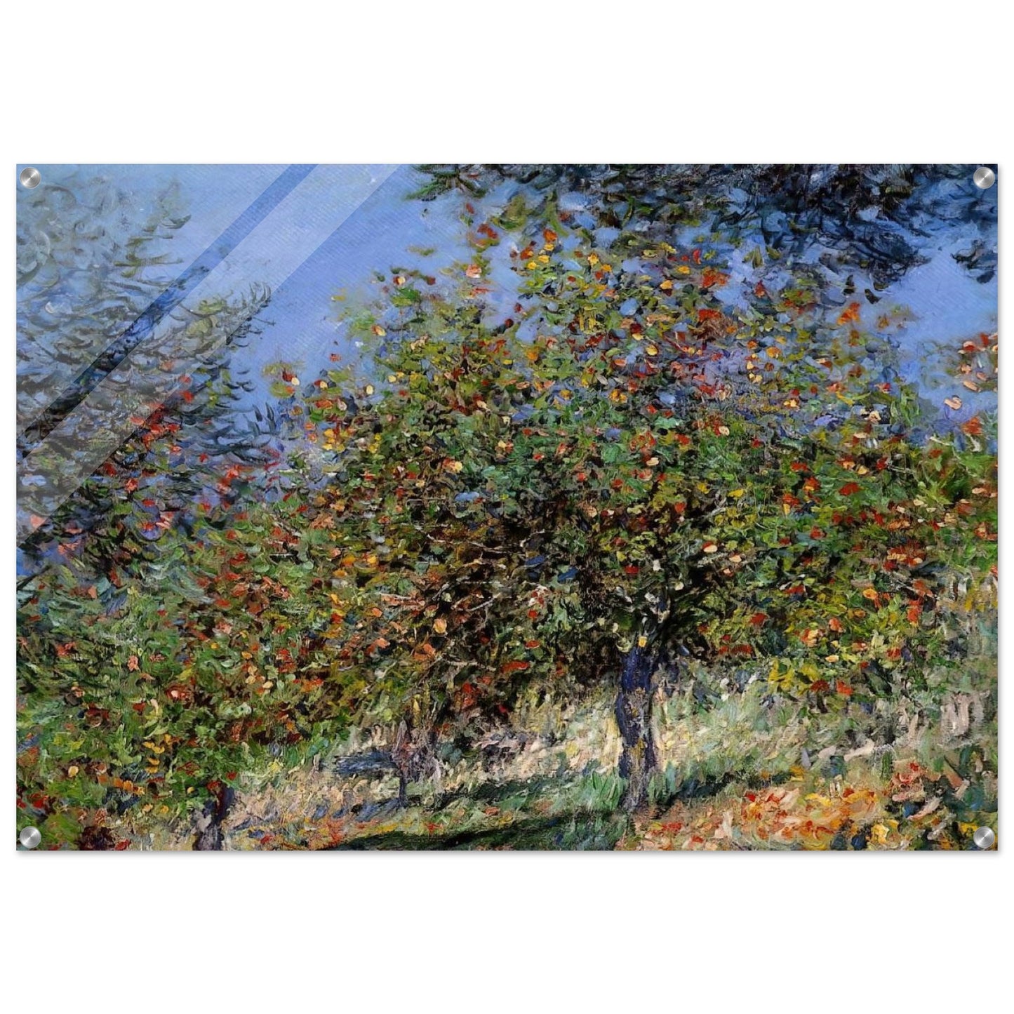 Apple Trees on the Chantemesle Hill - claude monet Acrylic Print - 70x100 cm / 28x40″ inches | claude monet Wall Art | claude monet Prints