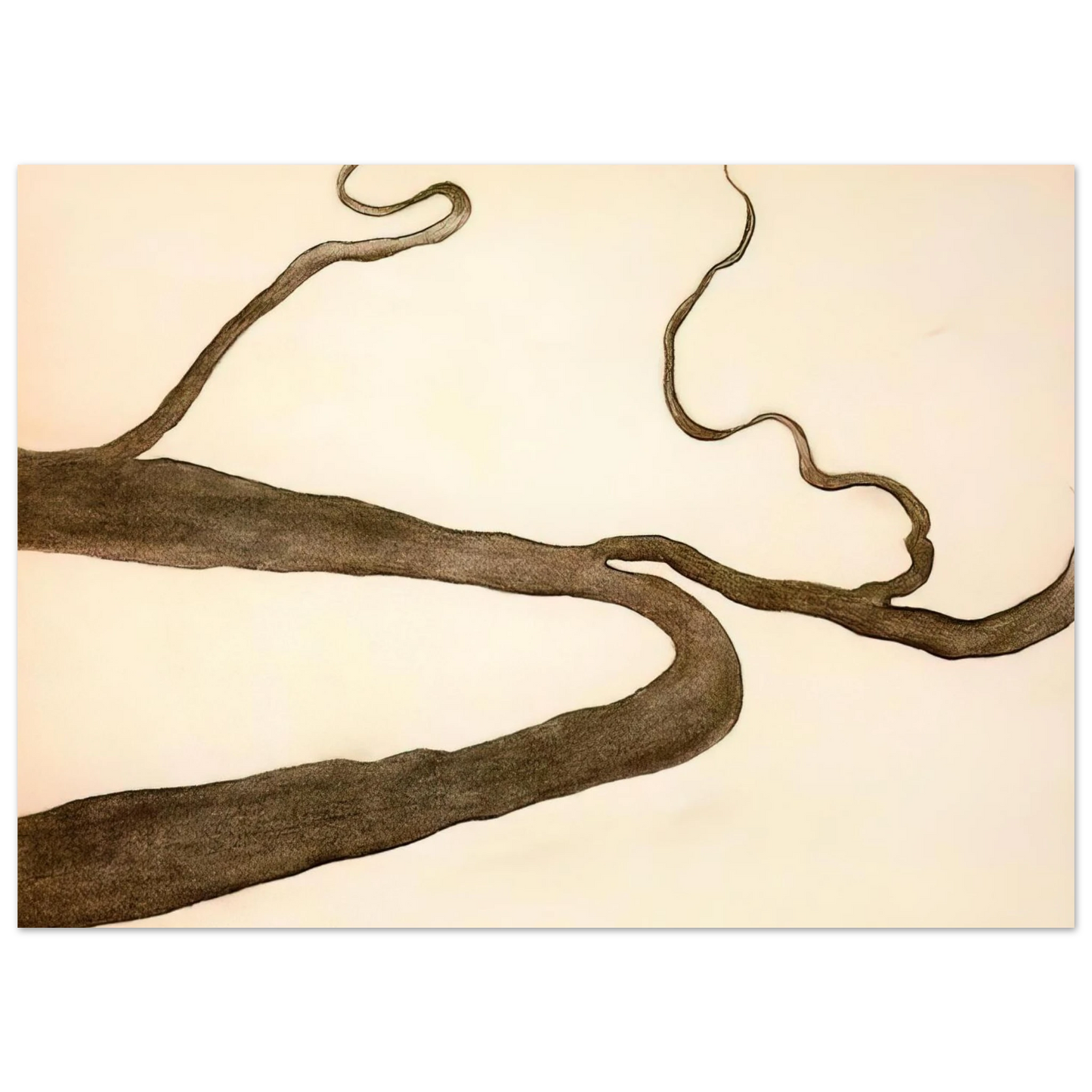 Georgia O'Keeffe - Drawing IX Fine Art Poster