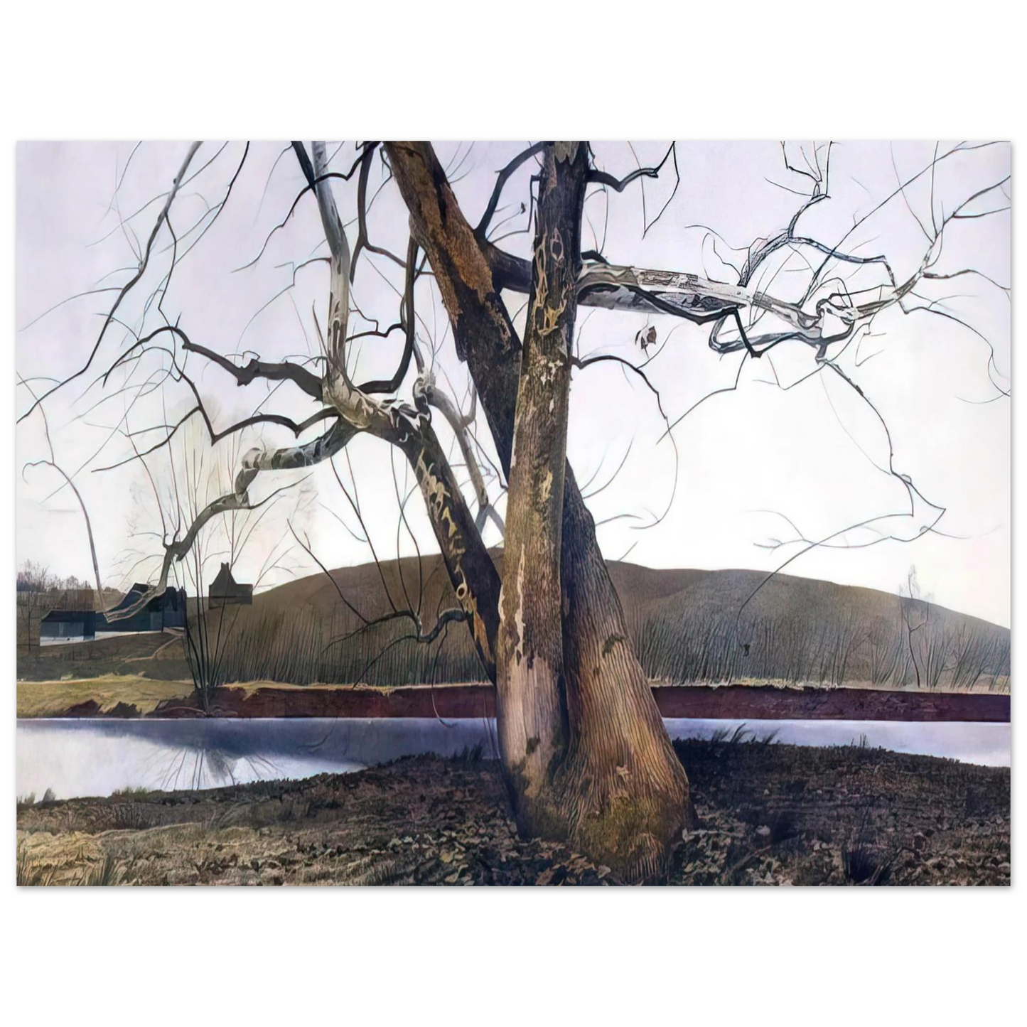 Andrew Wyeth - DIL HUEY FARM Wall Art - 60x80 cm / 24x32 inches - Premium Wooden Framed Poster With Fine Art Paper-canvas - Black frame
