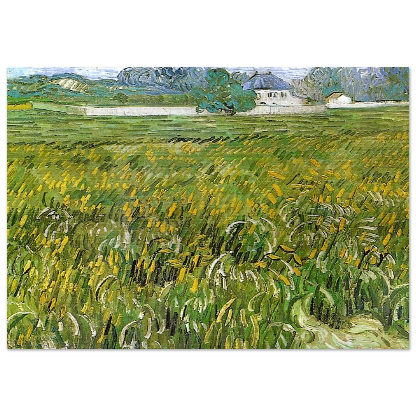 Wheat Field at Auvers with White House - Vincent van Gogh Brushed Aluminum Print - 70x100 cm / 28x40 inches | Vincent van Gogh Aluminum Print | Vincent van Gogh Prints