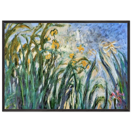 Yellow Irises and Malva - claude monet 70x100 cm / 28x40 inches Framed Art Print – Black Wooden Frame