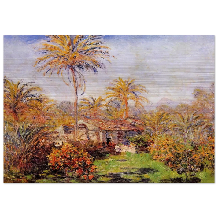 Small Country Farm in Bordighera - claude monet Brushed Aluminum Print - 70x100 cm / 28x40 inches | claude monet Aluminum Print | claude monet Prints