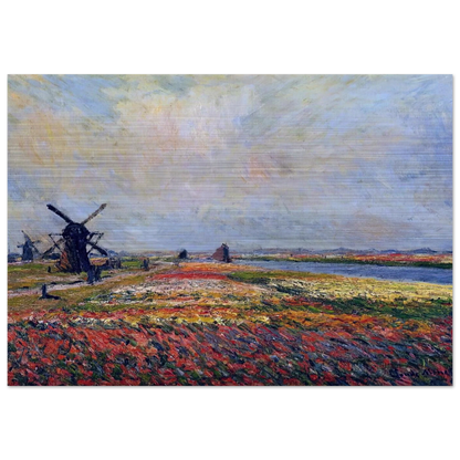 Fields of Flowers and Windmills near Leiden - claude monet Brushed Aluminum Print - 70x100 cm / 28x40 inches | claude monet Aluminum Print | claude monet Prints