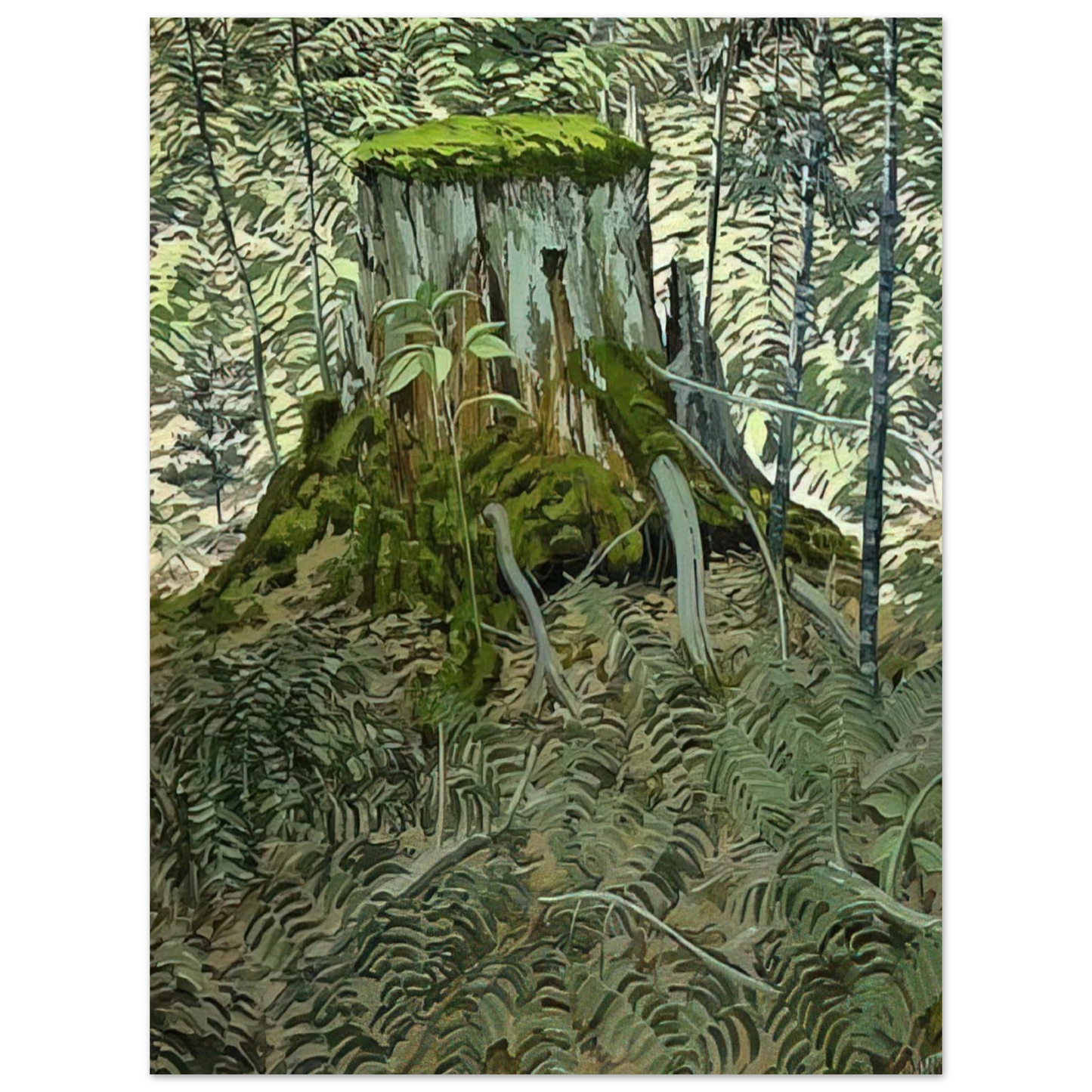 Neil Welliver - Stump and Ferns - Contemporary Realism  75x100 cm / 30x40inches Fine Art Poster
