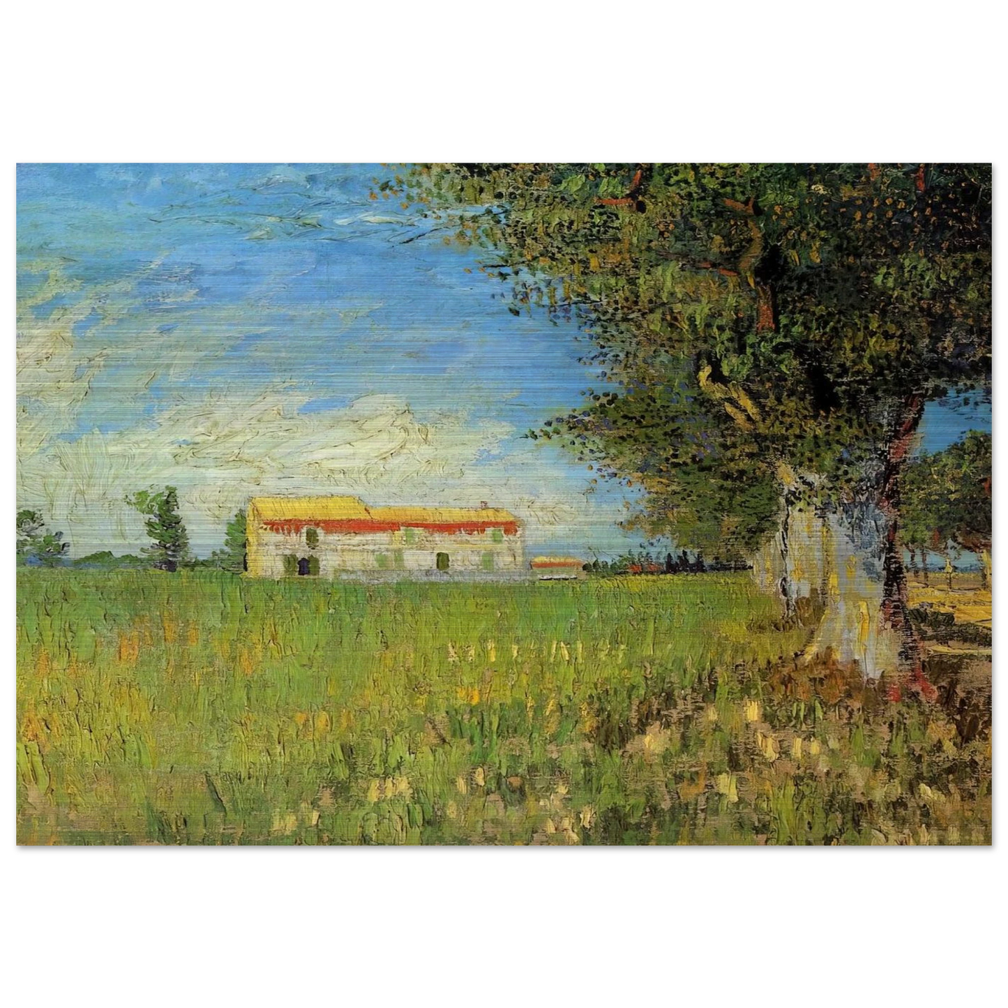 Farmhouse in a Wheat Field - Vincent van Gogh Brushed Aluminum Print - 70x100 cm / 28x40 inches | Vincent van Gogh Aluminum Print | Vincent van Gogh Prints