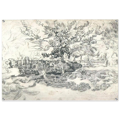 Garden of the Asylum - Vincent van Gogh Acrylic Print - 70x100 cm / 28x40″ inches