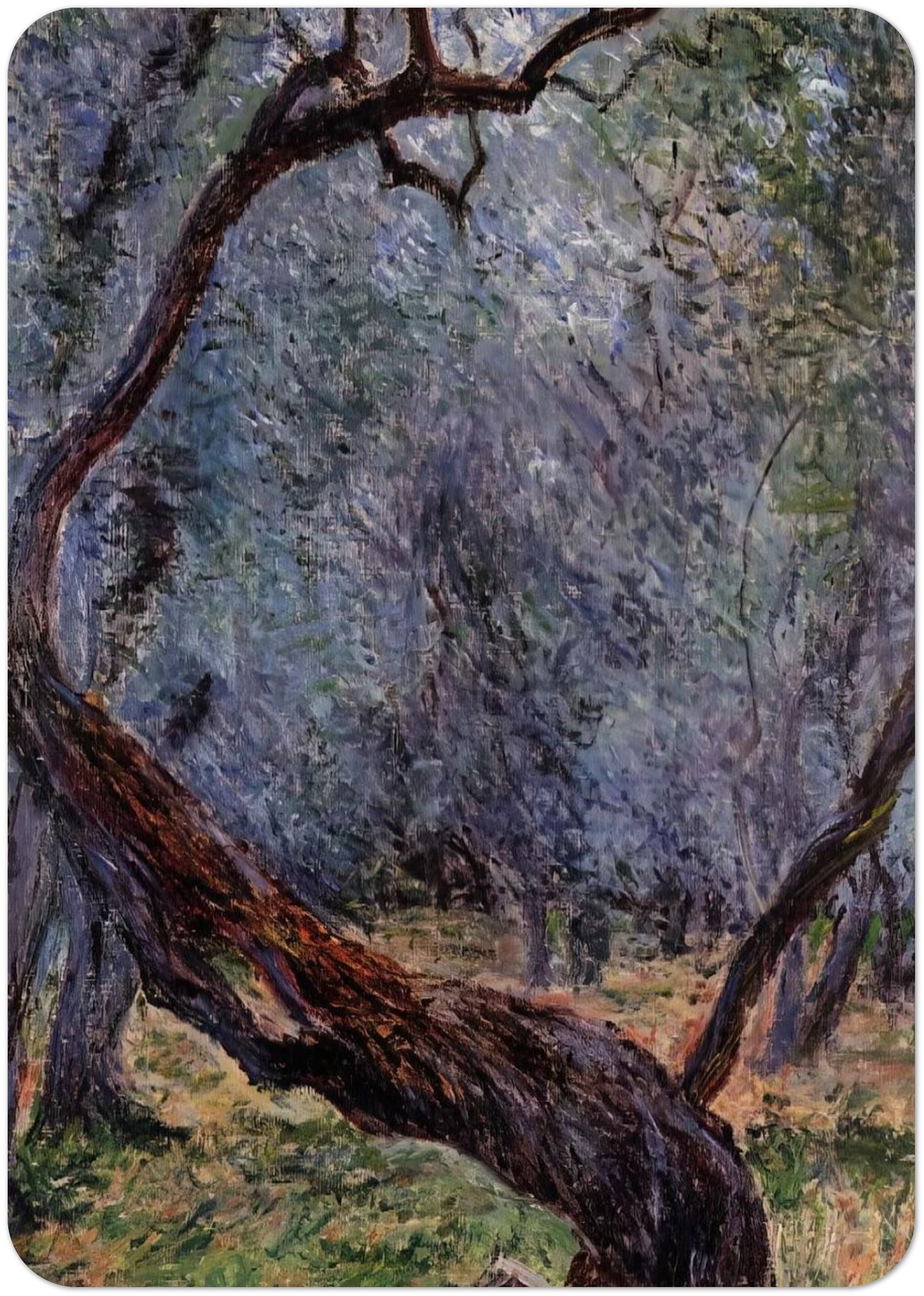 Olive Trees Study By claude monet Pack of 10 Post Cards | claude monet Post Cards | A6 (10.5 x 14.8 cm) - 4.1 x 5.8 inches