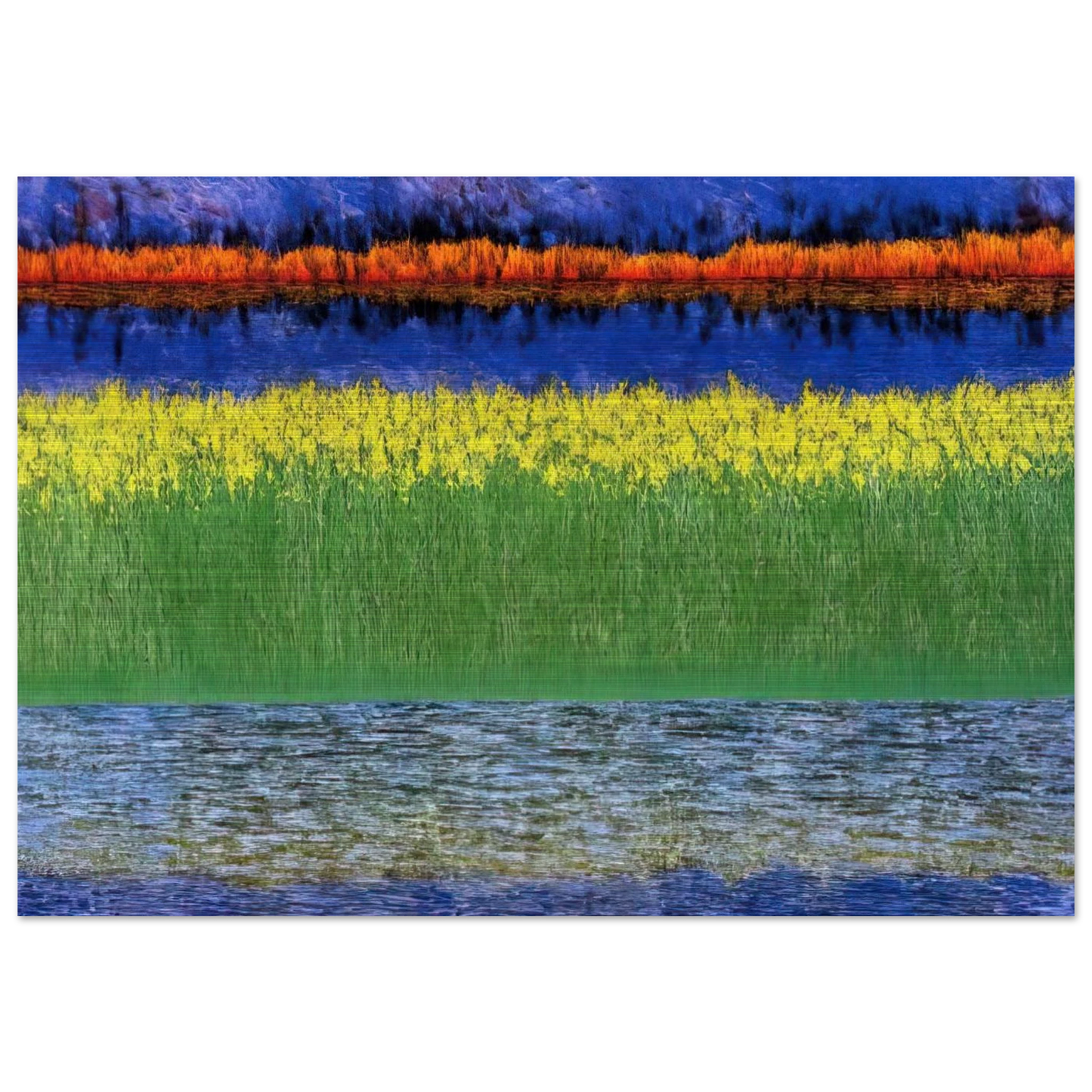 Sea of Grass - 1982 - Jimmy Ernst Brushed Aluminum Print - 70x100 cm / 28x40 inches | Jimmy Ernst Aluminum Print | Jimmy Ernst Prints