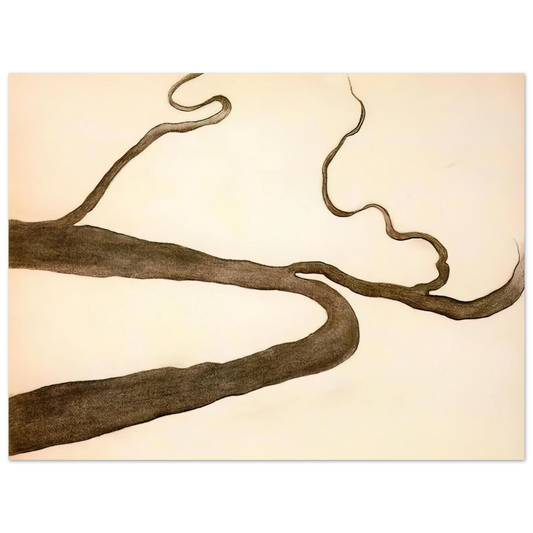 Georgia O'Keeffe - Drawing IX Fine Art Poster