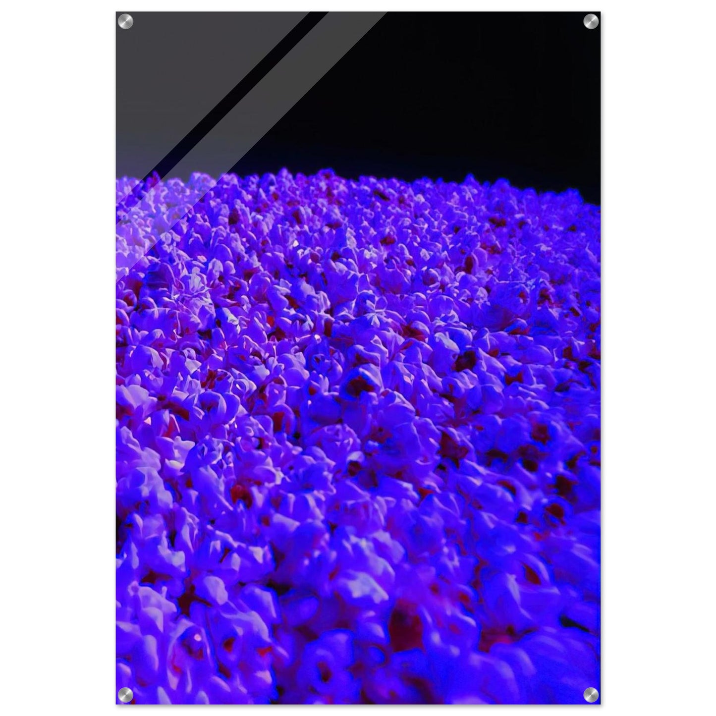 Moon Light - 1995 - Lygia Pape Acrylic Print - 70x100 cm / 28x40″ inches | Lygia Pape Wall Art | Lygia Pape Prints