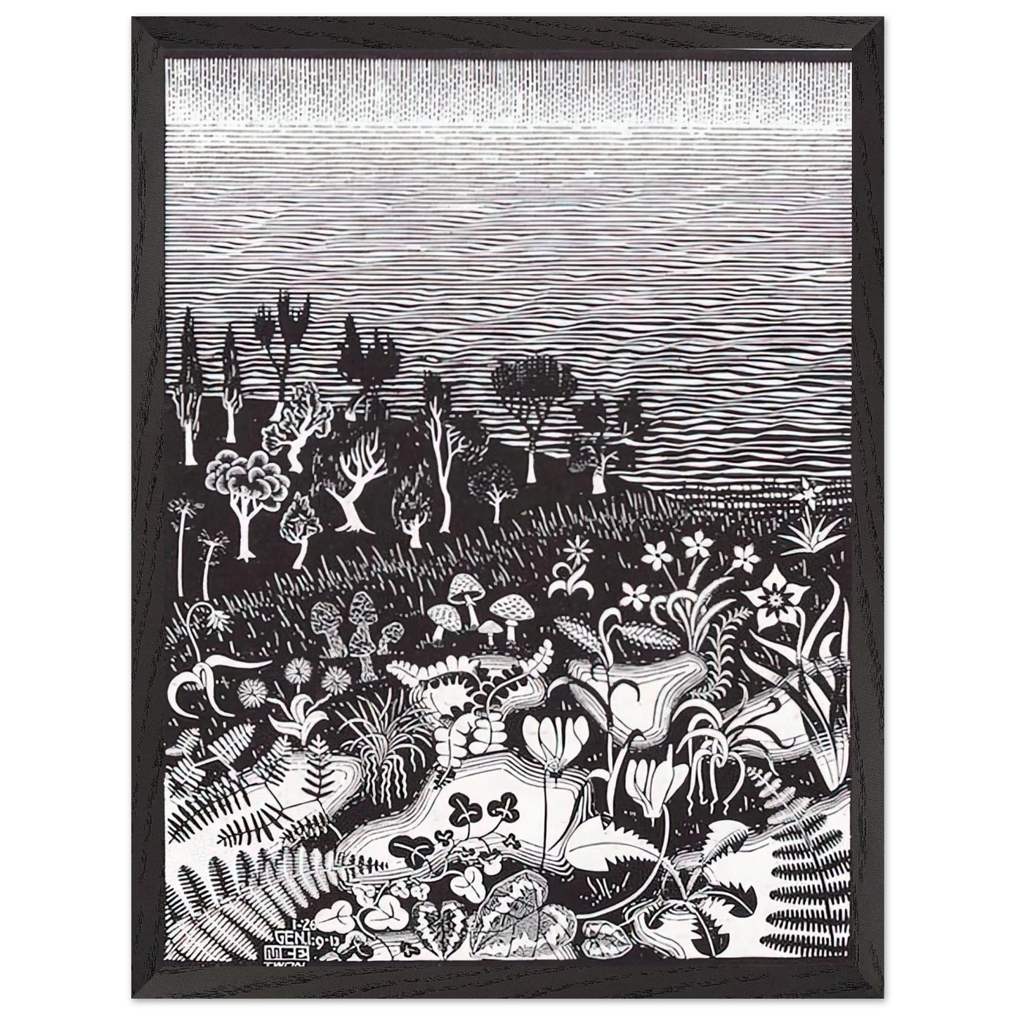 MC Escher - THE 3RD DAY OF THE CREATION Wall Art - 30x40 cm / 12x16 inches - Premium Wooden Framed Poster With Fine Art Paper-canvas - Black frame