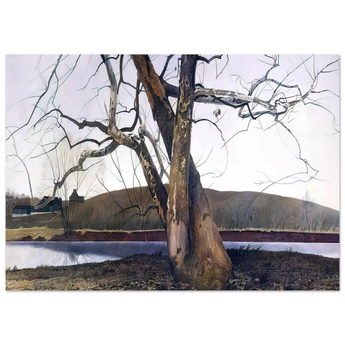 Andrew Wyeth - DIL HUEY FARM Wall Art - 60x80 cm / 24x32 inches - Fine Art Poster-canvas - -