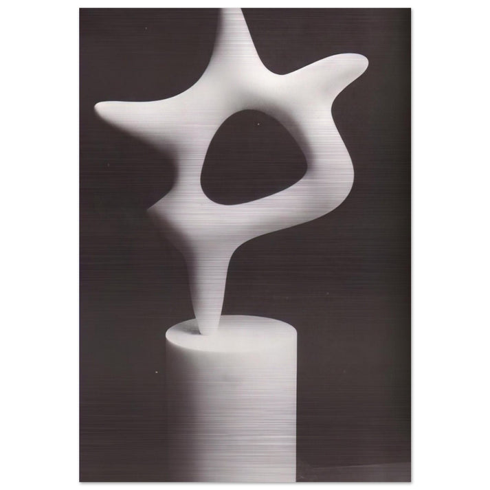 The Star - Jean Arp Brushed Aluminum Print - 70x100 cm / 28x40 inches | Jean Arp Aluminum Print | Jean Arp Prints