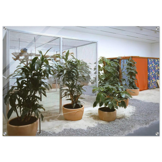 Tropicália, Penetrables PN 2 'Purity is a myth' and PN 3 'Imagetical' - Helio Oiticica Acrylic Print - 70x100 cm / 28x40″ inches