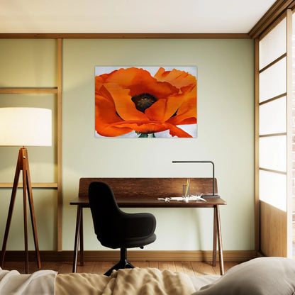 Red Poppy - Georgia O'Keeffe Brushed Aluminum Print - 70x100 cm / 28x40 inches | Georgia O'Keeffe Aluminum Print | Georgia O'Keeffe Prints