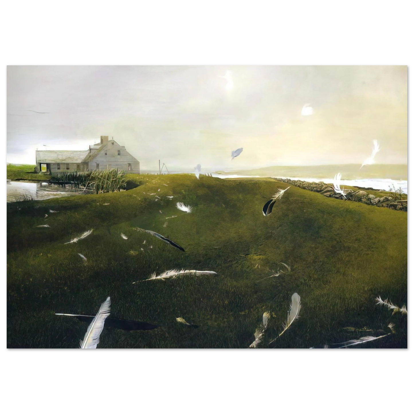 Andrew Wyeth - AIRBORNE Wall Art - 30x40 cm / 12x16 inches - Fine Art Poster-canvas - -