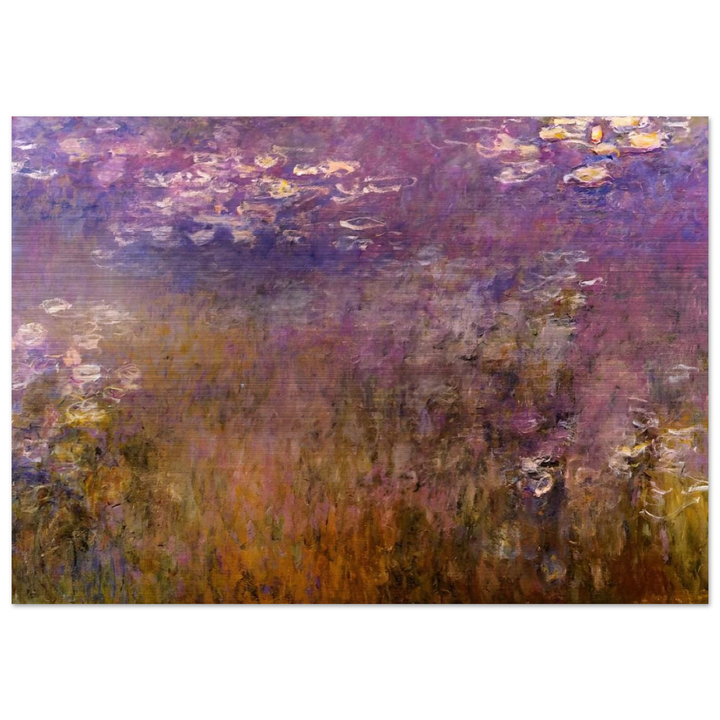 Agapanthus center panel - claude monet Brushed Aluminum Print - 70x100 cm / 28x40 inches | claude monet Aluminum Print | claude monet Prints