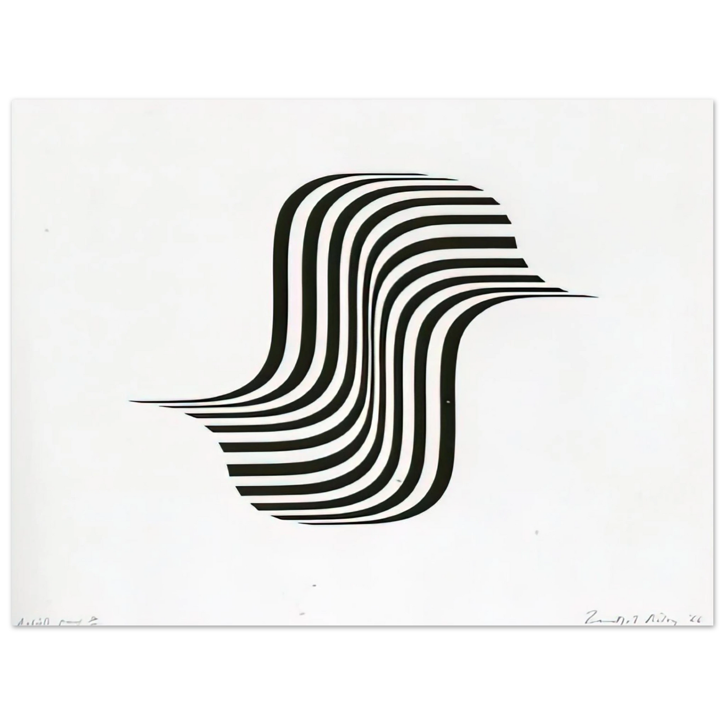 Bridget Riley - UNTITLED WINGED CURVE 1966  75x100 cm / 30x40inches Fine Art Poster