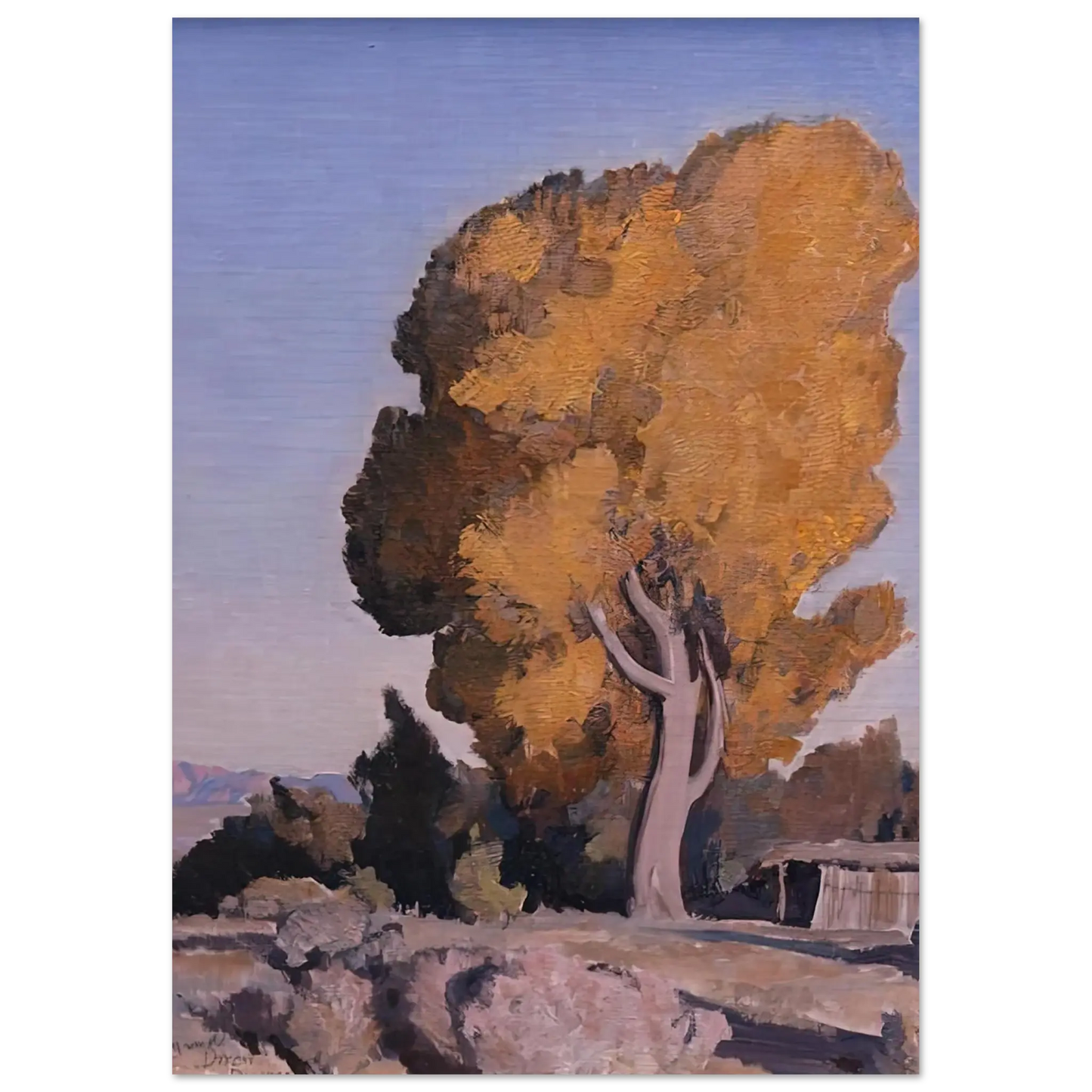 Maynard Dixon - LOW COUNTRY COTTONWOOD 1940 Wall art - 28x43  cm / XL (11x17 Inches) - Premium Wooden Framed Poster With Fine Art Paper - Black frame