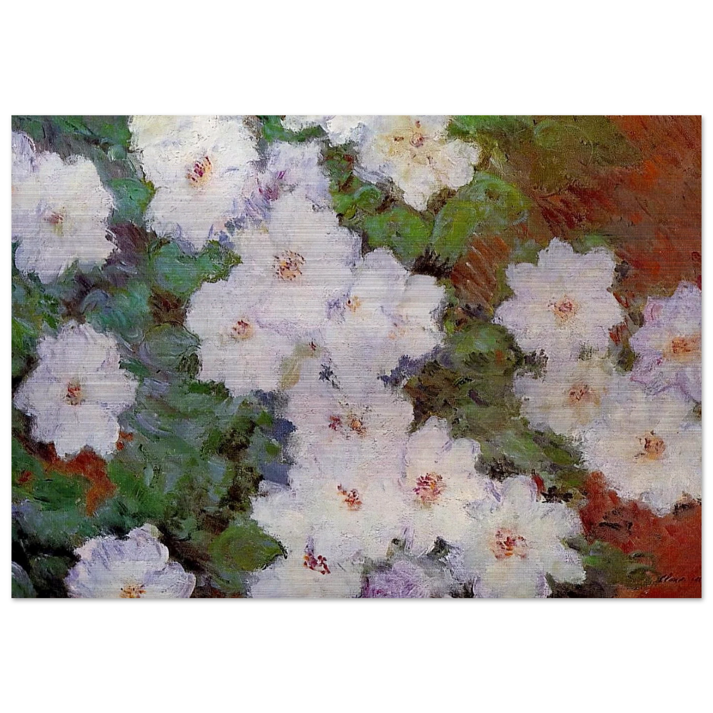 Clematis - claude monet Brushed Aluminum Print - 70x100 cm / 28x40 inches | claude monet Aluminum Print | claude monet Prints